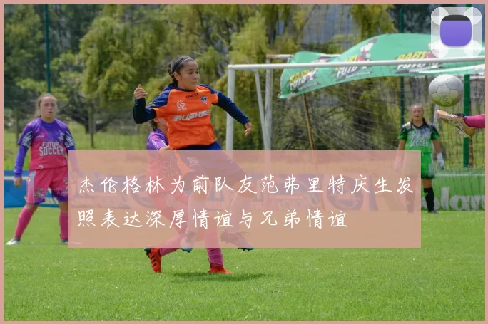 杰伦格林为前队友范弗里特庆生发照表达深厚情谊与兄弟情谊